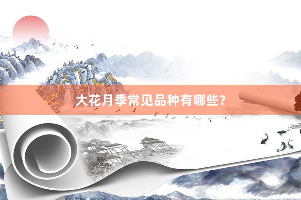 大花月季常见品种有哪些？
