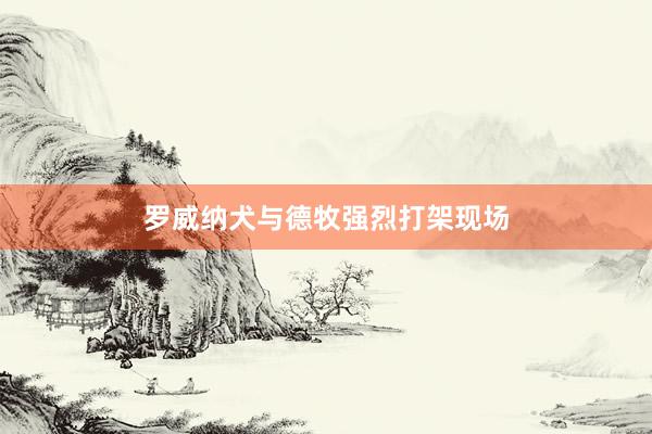 罗威纳犬与德牧强烈打架现场