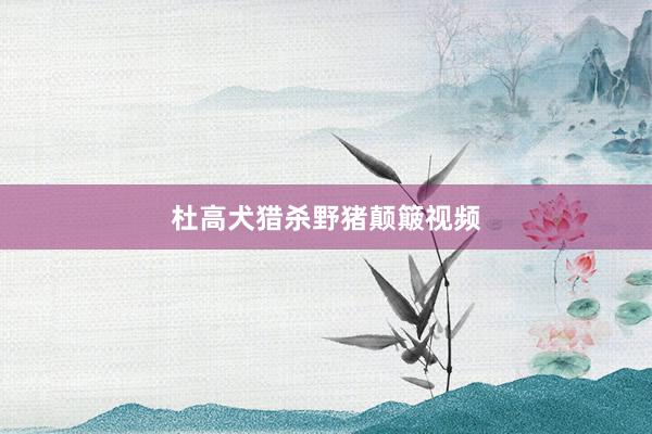 杜高犬猎杀野猪颠簸视频